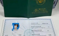 新疆全媒體運營師(運營師是干嘛的)