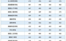 985211大學湖南錄取分數線一覽表