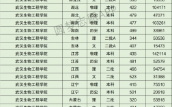 2024年武漢生物工程學院分數線