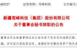 雪峰科技董事會秘書辭職(雪峰科技最新消息)