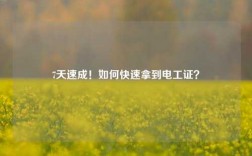 7天速成！如何快速拿到電工證？