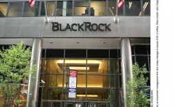 blackrock是什么公司