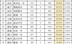 湖北省前二十名高中