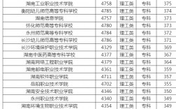 300分專科(公辦大專最低多少分能上)