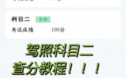 怎么查看駕考所有科目的成績(jī)