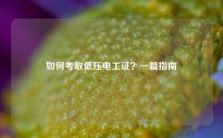 如何考取低壓電工證？一篇指南