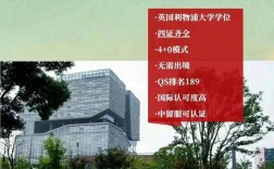 國際本科4 0有哪些院校