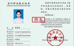 出納需要會計證嗎