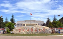 云南中醫藥大學研究生院
