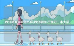西安思源學院怎么樣(西安最好5個民辦二本大學)