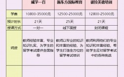 新東方雅思一對一收費標準2024