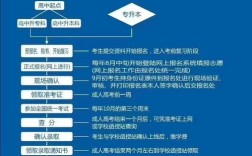 大專報(bào)名入口官網(wǎng)(成人大專報(bào)考網(wǎng)上報(bào)名)