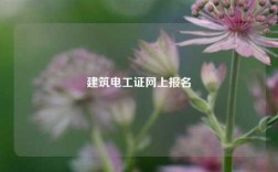 建筑電工證網上報名