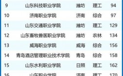 2024年山東雙高計劃專科學校排名