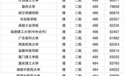 二本公辦大學(中外合辦的大學)