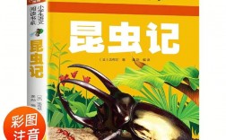 二年級課外書閱讀