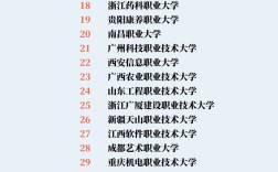 職業(yè)本科是什么