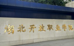 湖北開(kāi)放職業(yè)學(xué)院官網(wǎng)www.hbou.cn
