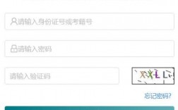 江蘇省教育考試院考生服務(wù)平臺(tái)jseea.cn