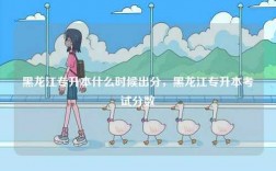 黑龍江專升本什么時候出分，黑龍江專升本考試分數