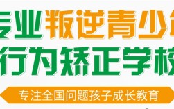 2025年泰州青少年叛逆期心理問題成長教育學校十大排名