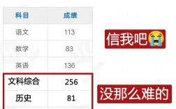 如何在查文綜的單科分?jǐn)?shù)？具體步驟是什么？