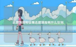 志愿填報(bào)和征集志愿填報(bào)有什么區(qū)別