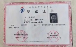 初中學(xué)歷可以考什么證