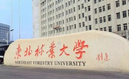 東北林業大學認可度