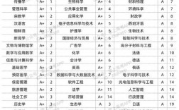 復(fù)旦大學(xué)王牌專業(yè)