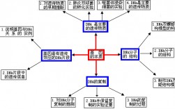 基因的化學(xué)本質(zhì)(基因合成的原理)