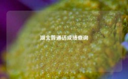 湖北普通話成績查詢