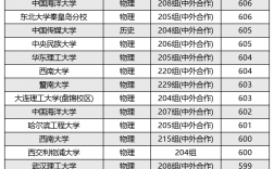 中外合作辦學(xué)排名一覽表最新