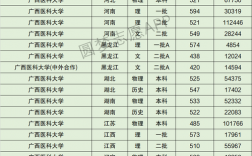 2024年廣西醫科大學的排名