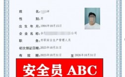 交安b證查詢網(wǎng)址