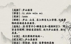 不識廬山真面目打一成語