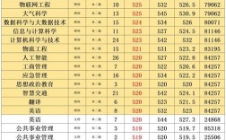2024年中國民用航空飛行學院分數線