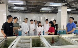 漁業發展研究生找什么工作(漁業發展專碩好就業嗎)