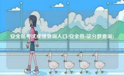 安全員考試成績查詢?nèi)肟?安全員c證分?jǐn)?shù)查詢)