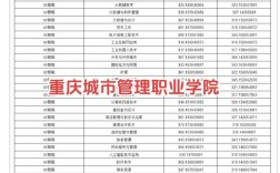 重慶城市管理職業學院錄取分數線
