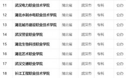 武漢專科院校排行榜