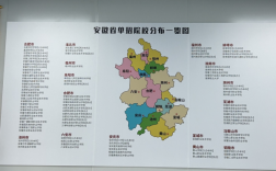 安徽單招網沖刺班：精準教學，助力升學