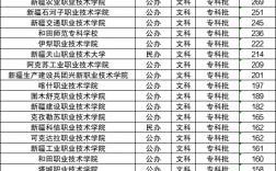 2024年新疆職業大學分數線