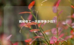 揭秘電工一天能掙多少錢？