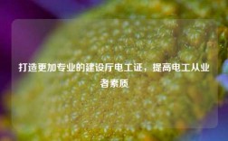 打造更加專業的建設廳電工證，提高電工從業者素質