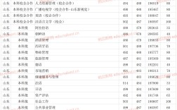 山東青年政治學院分數(shù)線