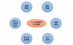 人力資源是什么職業(yè)