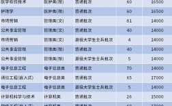 江蘇大學京江學院是幾本