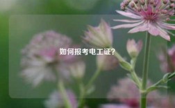 如何報考電工證？