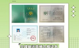 全媒體運(yùn)營師答辯(運(yùn)營師是干嘛的)